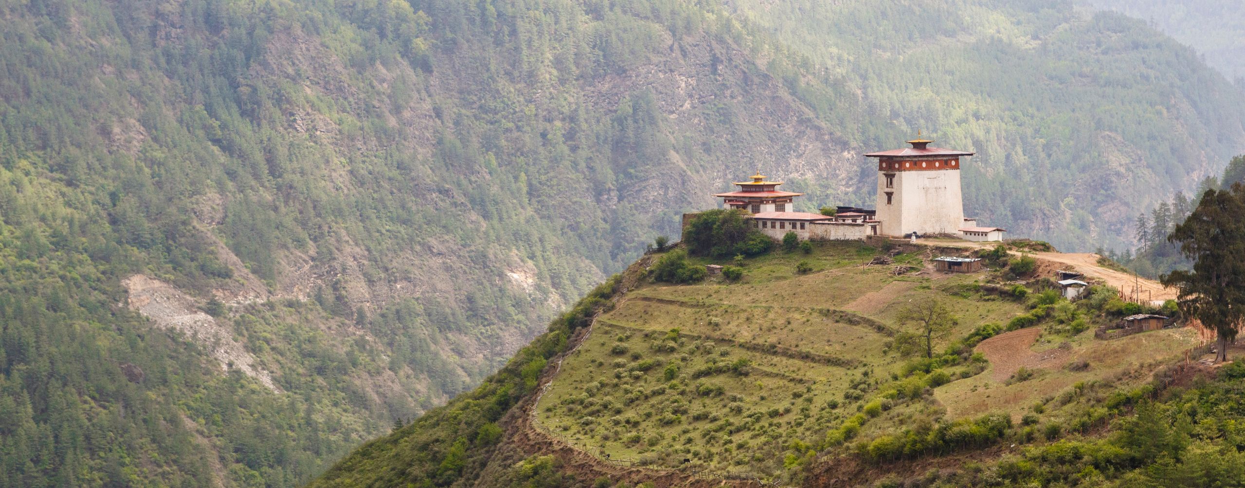 Into the Quiet of Haa