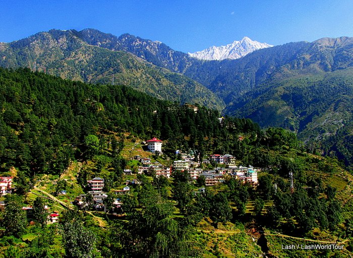 Into the Himalayan Charm