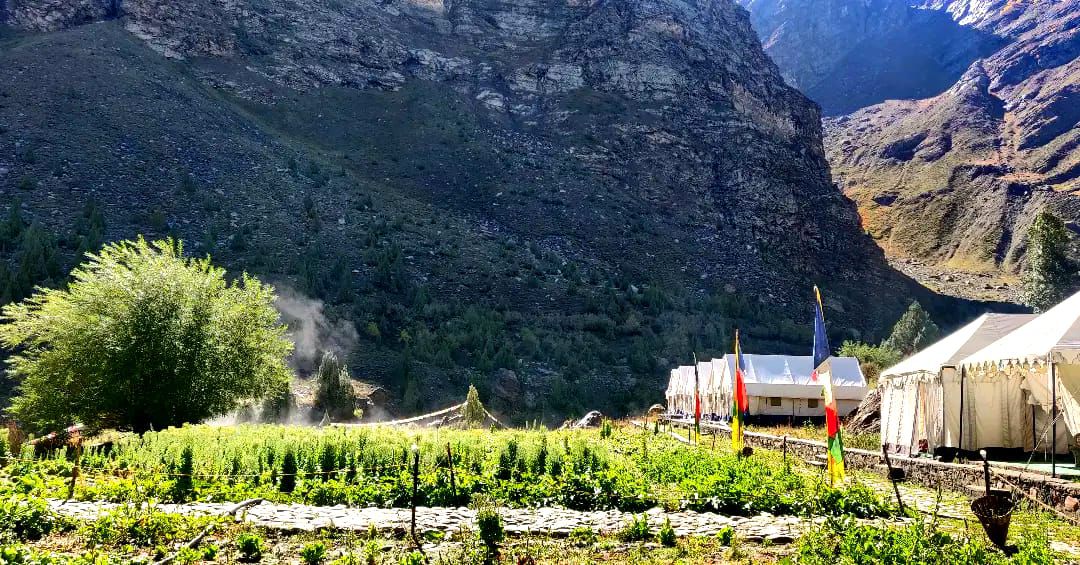 Ancient Forts & Tibetan Markets