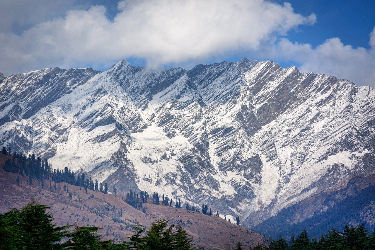 Peaks & Palaces: A Family Getaway in Himachal