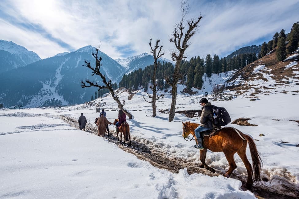 From Floating Dreams to Glacial Skies – A Family Trail Through Kashmir