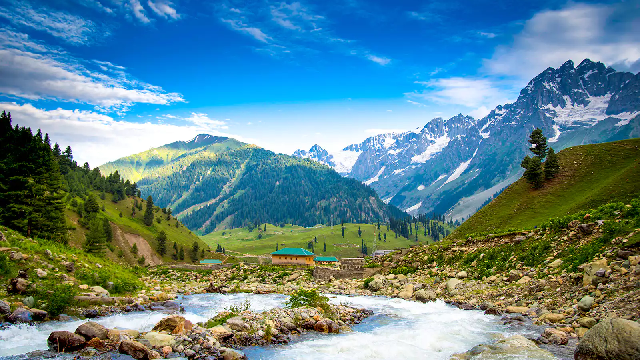 Wild Grace – Kashmir’s Signature Trail