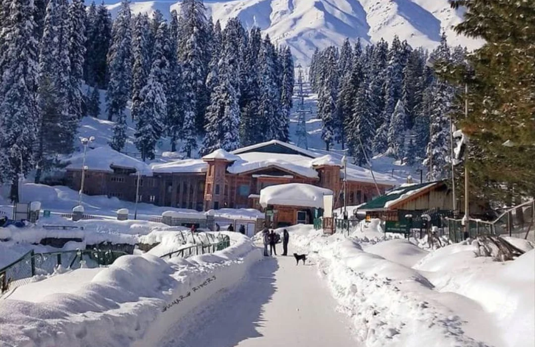 Meadows & Moments – A Soulful Escape to Kashmir  