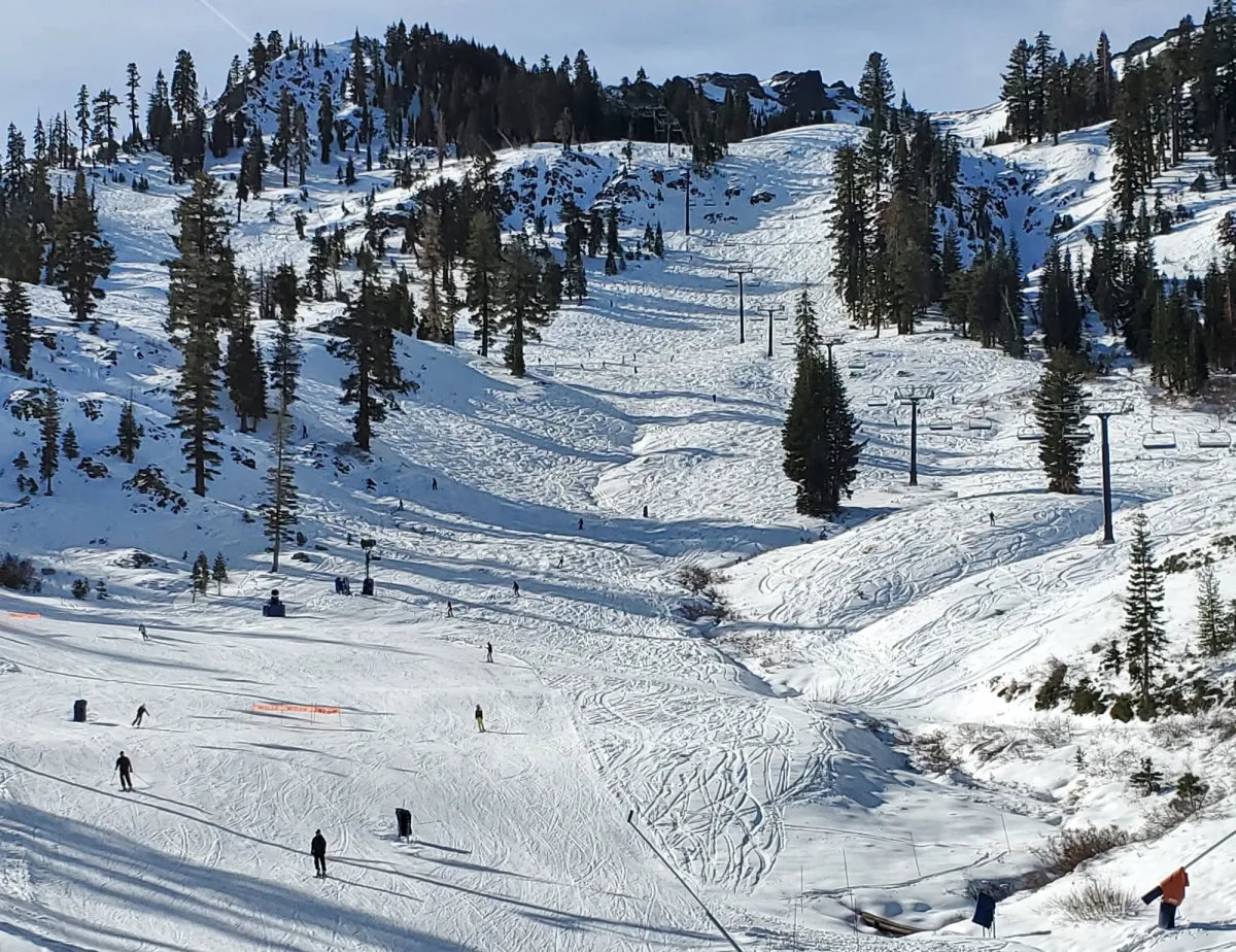 Meadows, Gondolas & A Lunch Above the Clouds