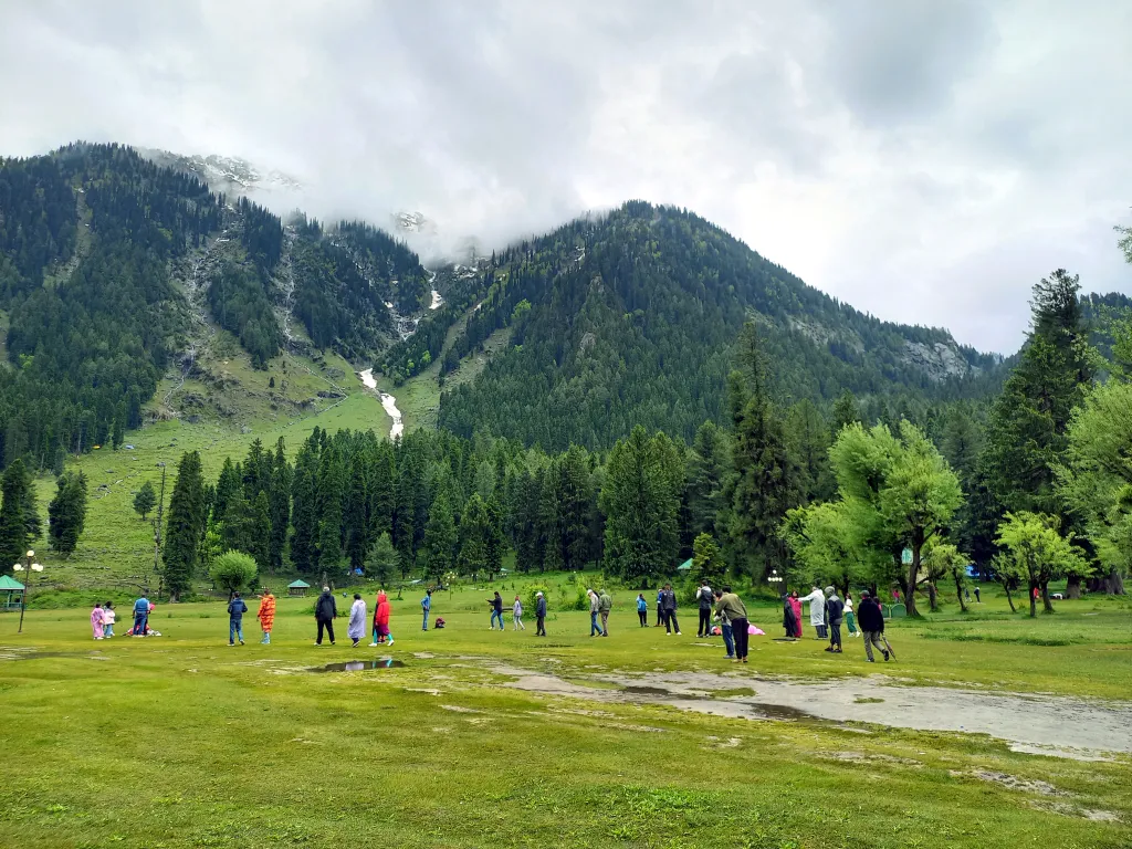 Aru to Betaab – Cheese & Meadows