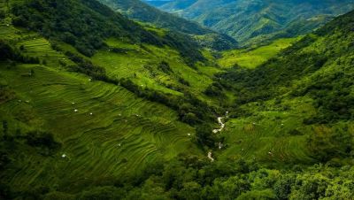 Dimapur to Pfutsero