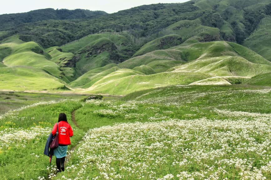 Trek to Dzukou via Viswema
