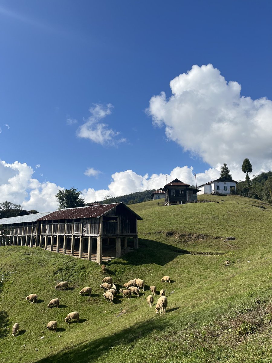 Dzuleke & Poilwa – Mountain Farm Life