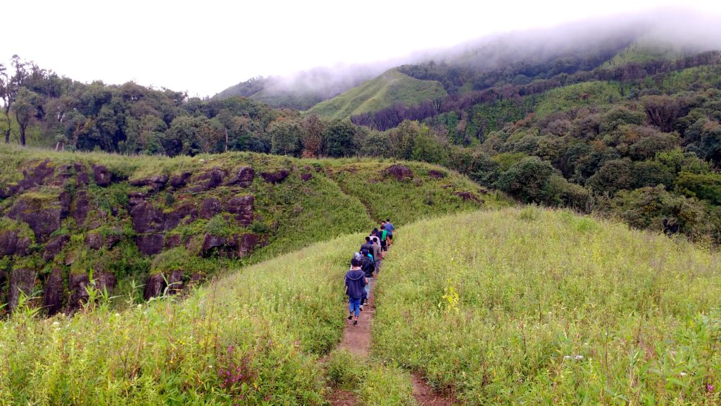 Through Forests, Into Tribal Streets