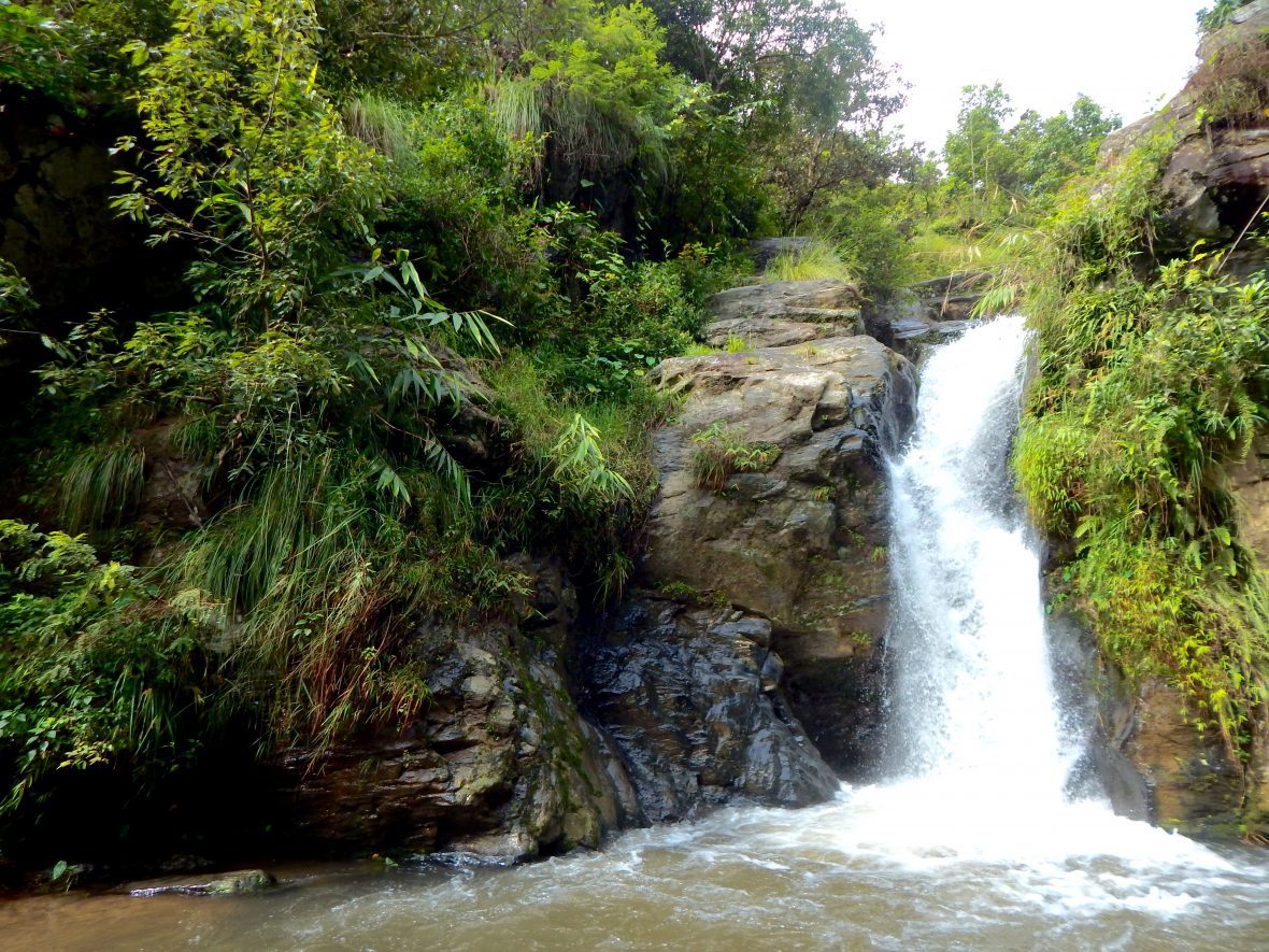 Forest Bridges & Waterfalls in Nagarkot