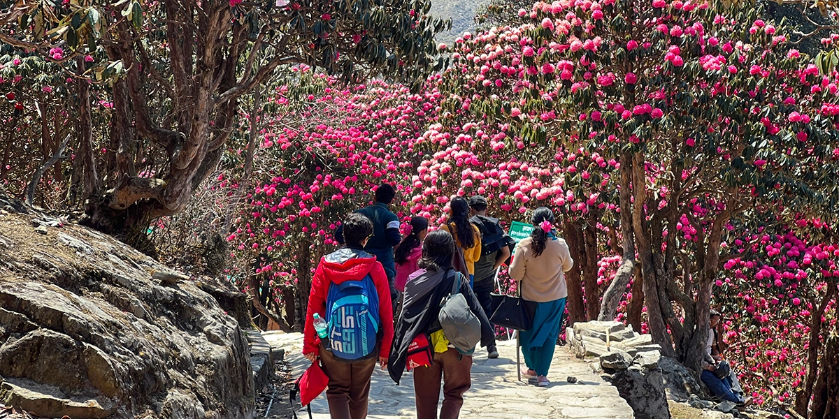 Into the Himalayas – Trek to Rest Camp