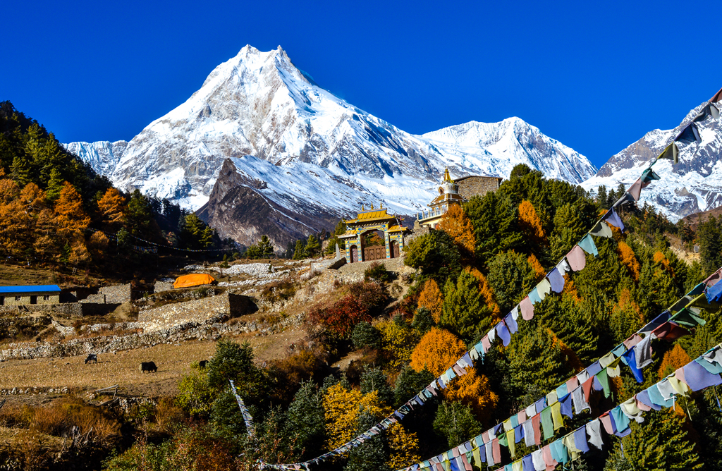 Mountains, Markets & Momos – A Nepal Trail for the Young at Heart