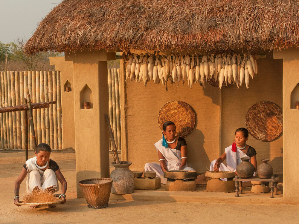 Into the Jungle – Fly to Chitwan