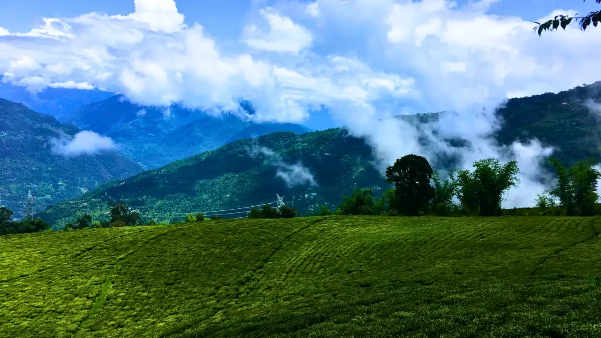 Valleys & Vistas – A Family Trail through Sikkim