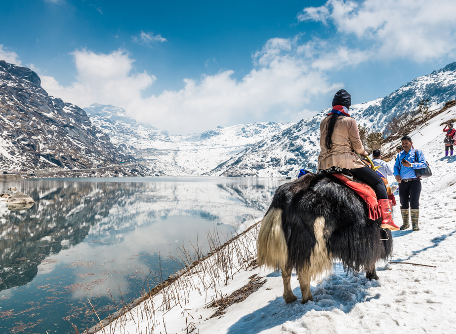 The Ancient Silk Route