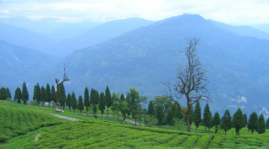 Valleys & Vistas – A Family Trail through Sikkim