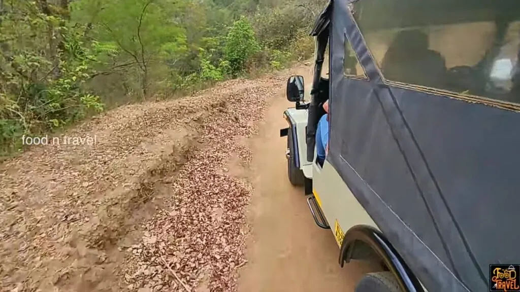 Jeep Ride