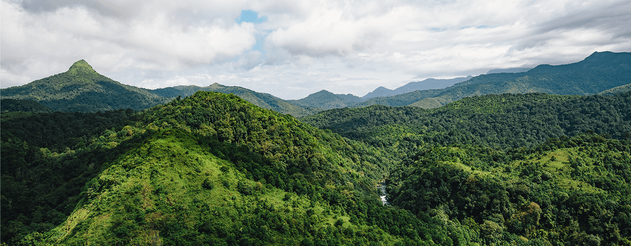 Day 3: WHERE THE JOURNEY ENDS WITH GREEN